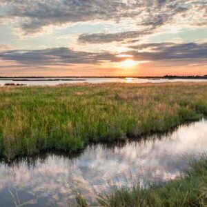 The Commons Call to Revise Private Property Rights Image